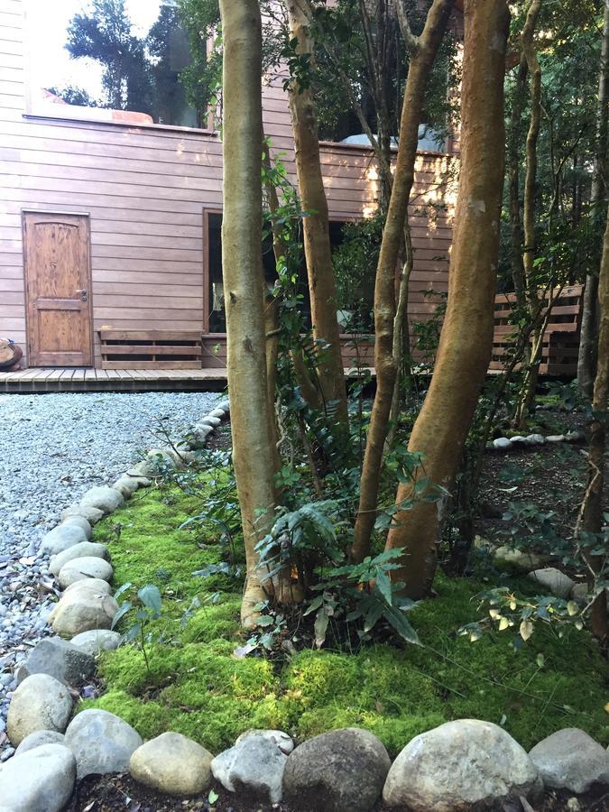 Dreamwoods Villa Puerto Varas Eksteriør billede